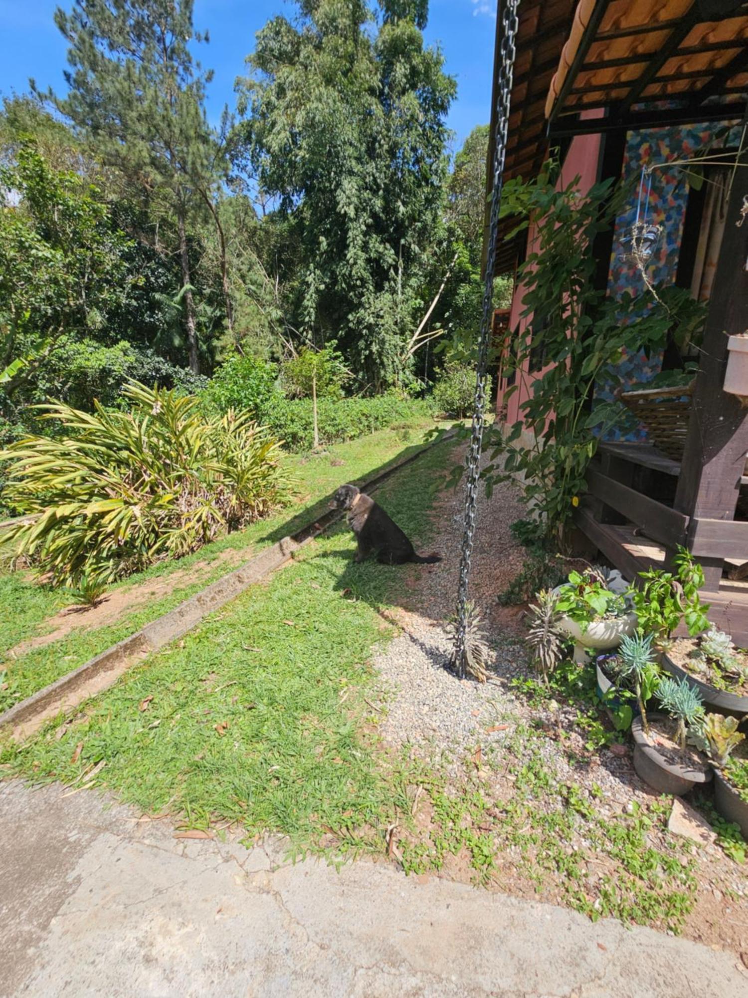 Suites Casinha Do Alto Da Bocaina Sao Pedro da Serra  Exterior foto